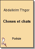 Choses et chats de Abdelkrim T'ngor